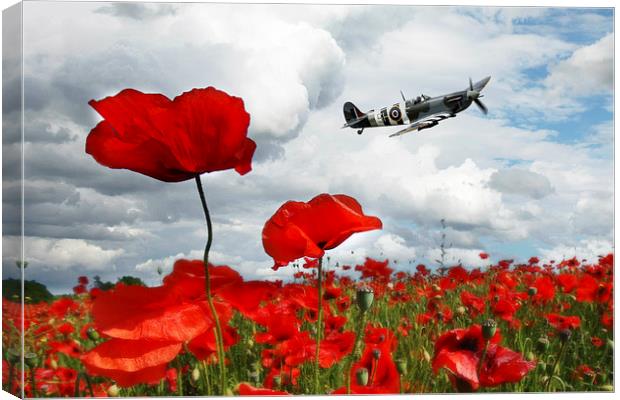 Spitfire Over The Poppy Canvas Print by J Biggadike