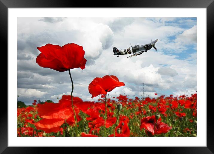 Spitfire Over The Poppy Framed Mounted Print by J Biggadike