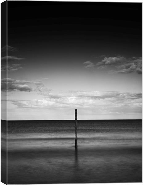 Alone in the sea  Canvas Print by mark dodd