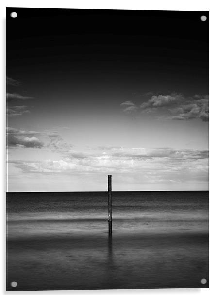 Alone in the sea  Acrylic by mark dodd