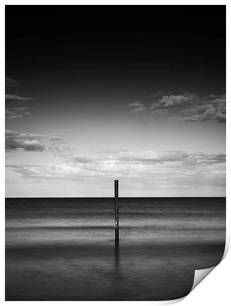 Alone in the sea  Print by mark dodd