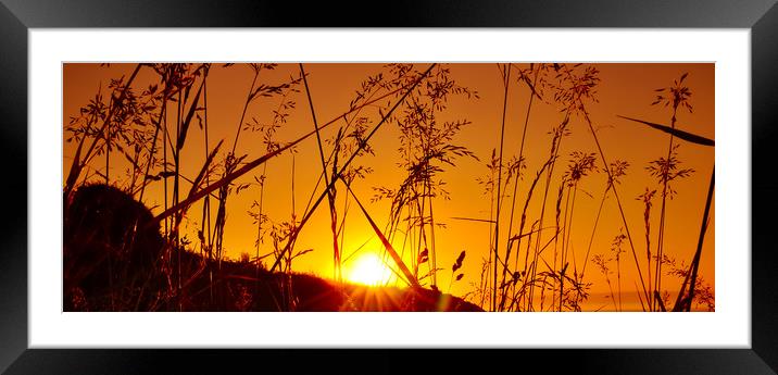  Evening Rays Framed Mounted Print by Svetlana Sewell