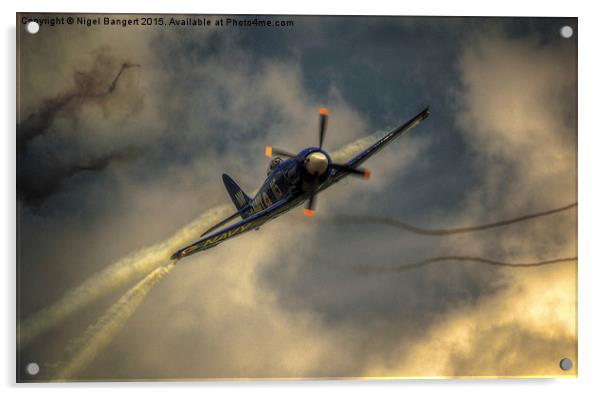  Hawker Sea Fury  Acrylic by Nigel Bangert