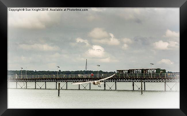  Hythe pier and train Framed Print by Sue Knight