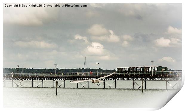  Hythe pier and train Print by Sue Knight
