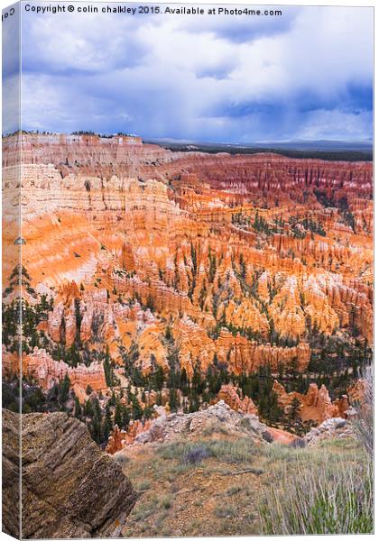  Bryce Canyon  Canvas Print by colin chalkley