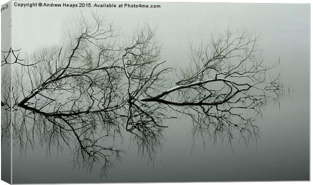  Reflection of tree. Canvas Print by Andrew Heaps