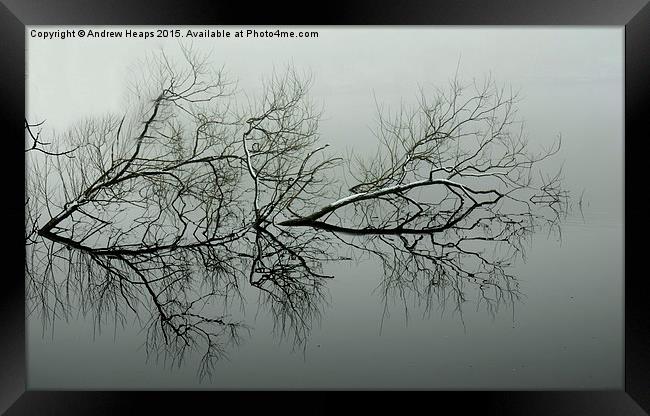  Reflection of tree. Framed Print by Andrew Heaps