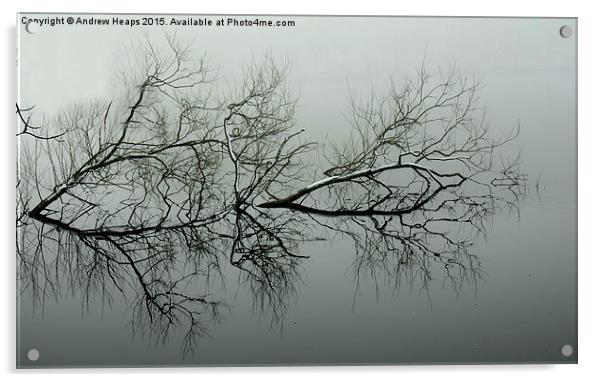  Reflection of tree. Acrylic by Andrew Heaps