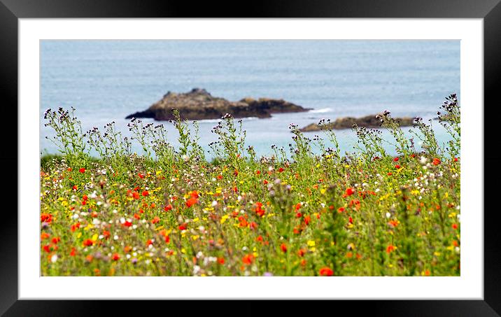  wild coastal flora Framed Mounted Print by keith sutton