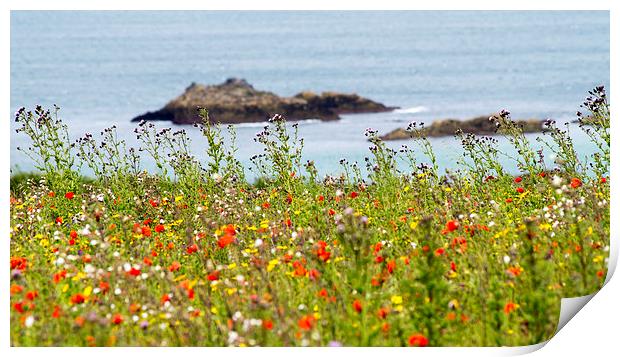  wild coastal flora Print by keith sutton