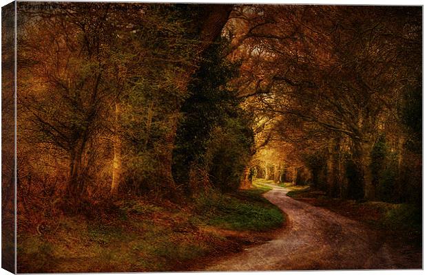Road To Stody 2 Canvas Print by Julie Coe