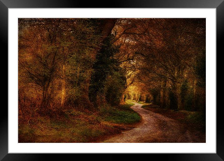 Road To Stody 2 Framed Mounted Print by Julie Coe
