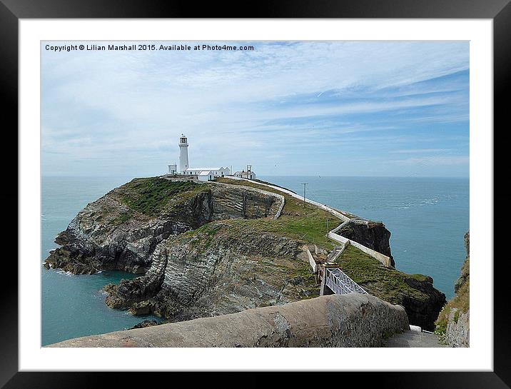  South Stack Lighthouse . Framed Mounted Print by Lilian Marshall