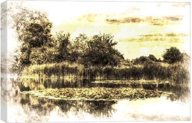 The Lily Pond Vintage Canvas Print by David Pyatt