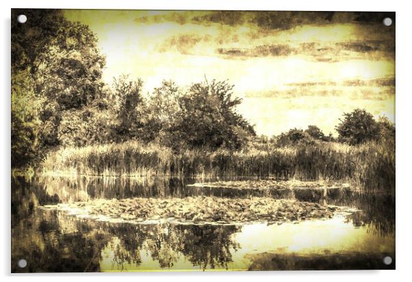 The Lily Pond Vintage Acrylic by David Pyatt