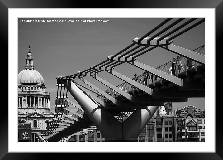  Millennium bridge  Framed Mounted Print by sylvia scotting