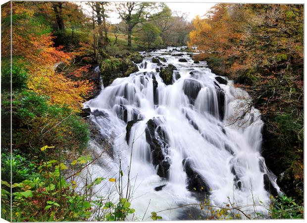  Swallow Falls, North Wales Canvas Print by Simone Williams