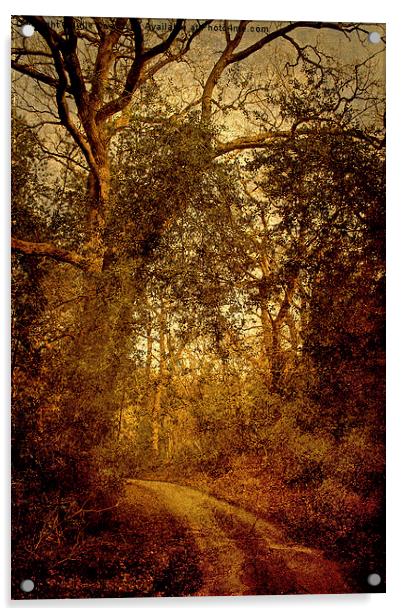 Walk To Hempstead 4 Acrylic by Julie Coe