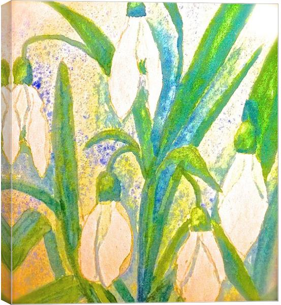  Paint effect of Snow drops  Canvas Print by Sue Bottomley