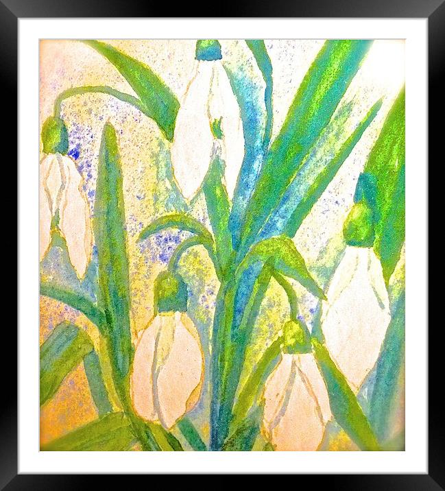  Paint effect of Snow drops  Framed Mounted Print by Sue Bottomley