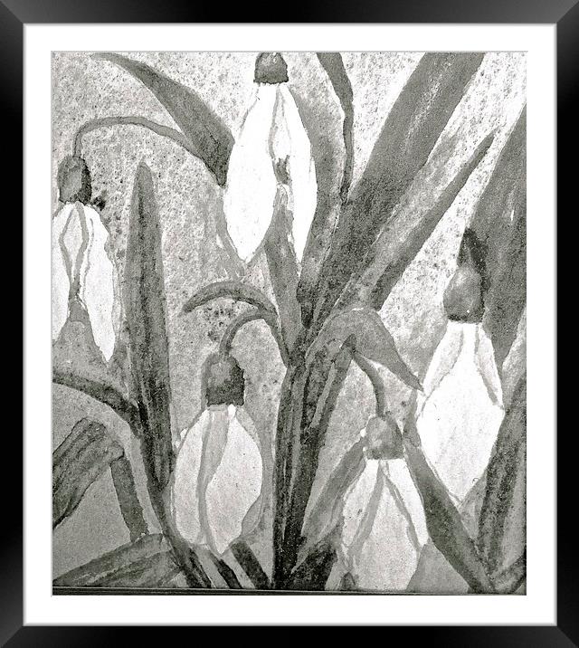 Black and White drawing effect of Snow drops Framed Mounted Print by Sue Bottomley