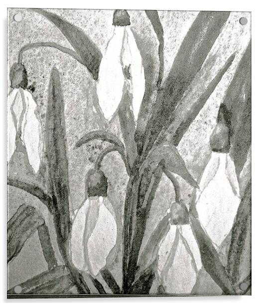  Black and White drawing effect of Snow drops Acrylic by Sue Bottomley