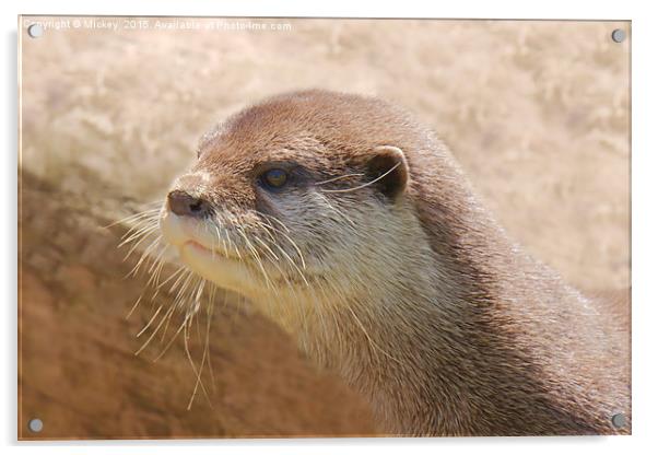 Otterly Close Acrylic by rawshutterbug 