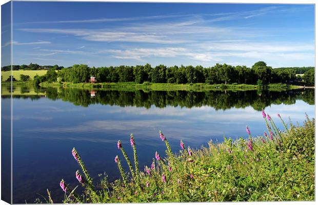 Ulley Country Park Canvas Print by Darren Galpin