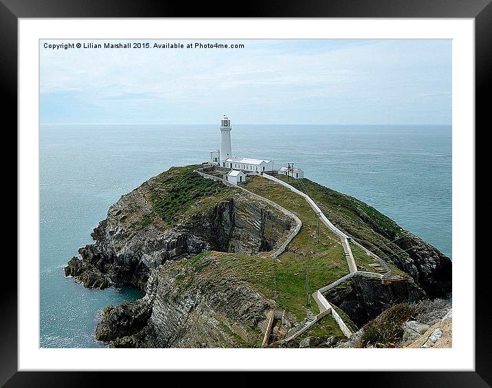  South Stack Lighthouse.  Framed Mounted Print by Lilian Marshall