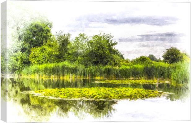 The Lily Pond Art Canvas Print by David Pyatt