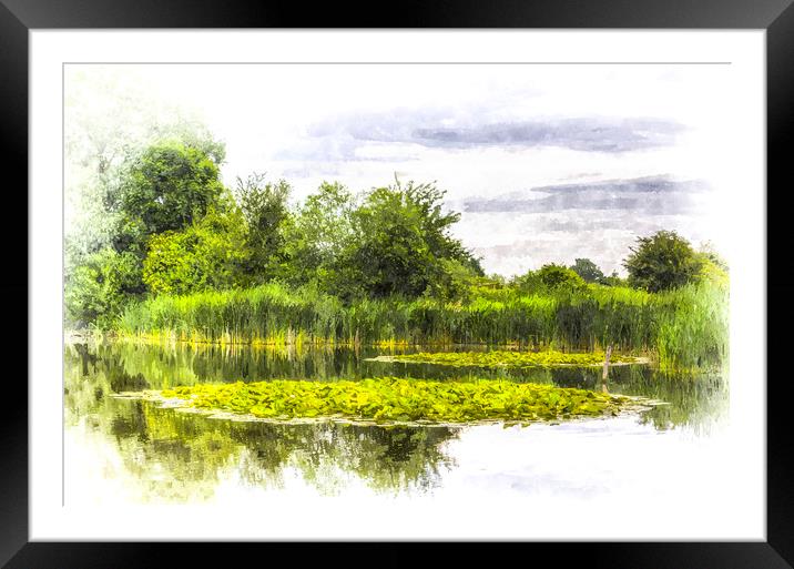 The Lily Pond Art Framed Mounted Print by David Pyatt