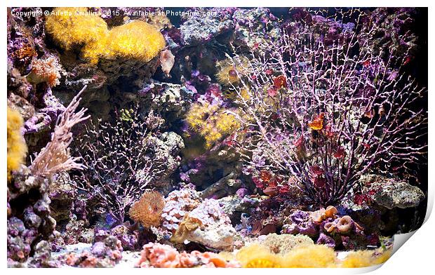 Coral reef aquarium in zoo Print by Arletta Cwalina