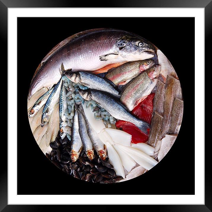 Simply Fish Framed Mounted Print by Mike Routley