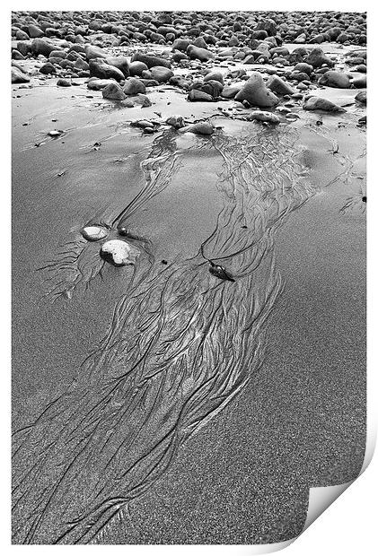  Patterns in the sand Print by Andrew Richards