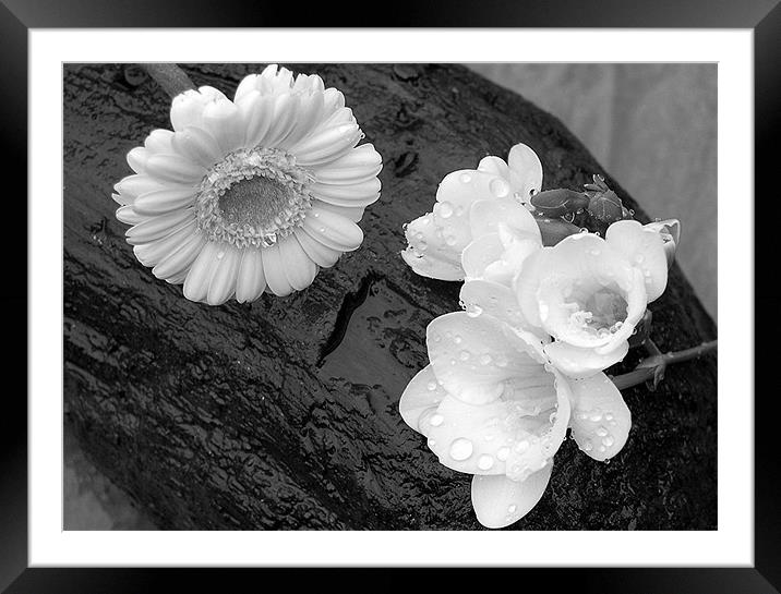 Flowers on Driftwood in the Rain Framed Mounted Print by Mike Routley
