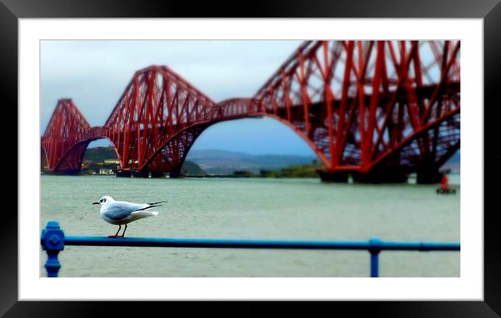  down at queensferry  Framed Mounted Print by dale rys (LP)