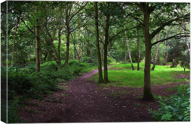 GALLEYWOOD COMMON,CHELMSFORD,ESSEX Canvas Print by Ray Bacon LRPS CPAGB