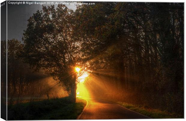  Rays of Gold Canvas Print by Nigel Bangert