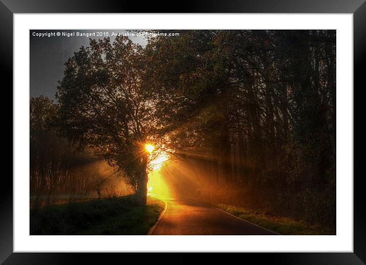  Rays of Gold Framed Mounted Print by Nigel Bangert