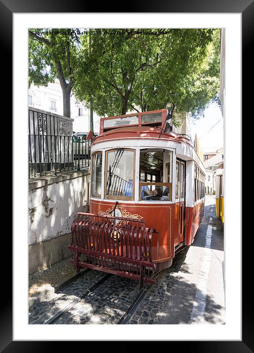  Lisbon old tram Framed Mounted Print by Steven Dale