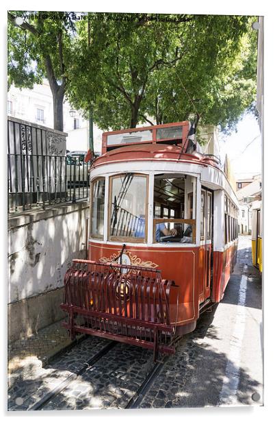  Lisbon old tram Acrylic by Steven Dale