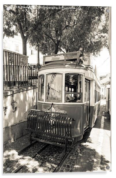  Lisbon vintage tram Acrylic by Steven Dale