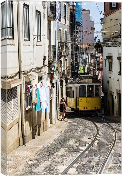 Lisbon's Iconic Tram No.28 Journey Canvas Print by Steven Dale