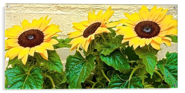  Sun Flowers Bring me Sunshine Acrylic by Sue Bottomley