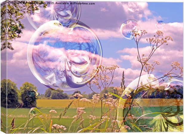 Just playing with bubbles  Canvas Print by Robert Gipson