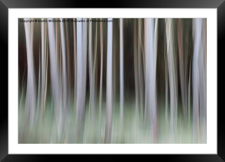  Forbidden Forest Framed Mounted Print by Martin Williams