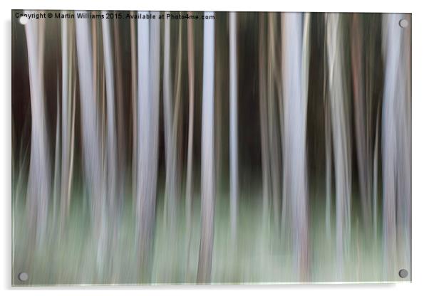  Forbidden Forest Acrylic by Martin Williams