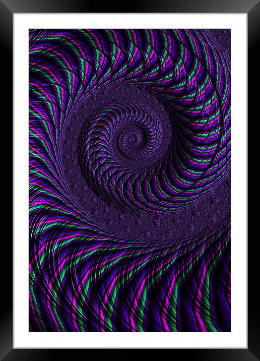 Purple Spiral Framed Mounted Print by Steve Purnell