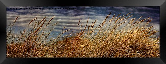 Holkham Dunes 5 Framed Print by Julie Coe